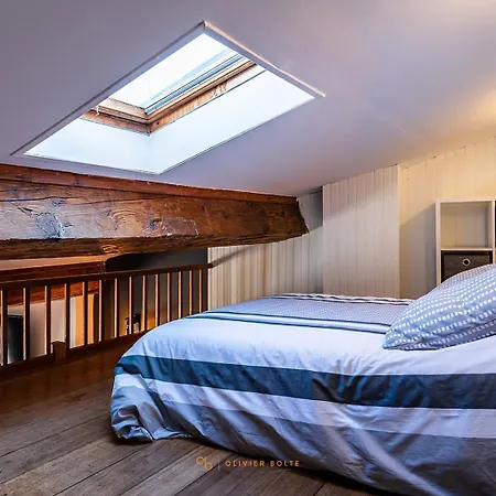 Sous Les Toits En Hyper Centre Apartment